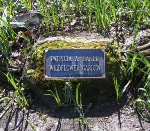 Patricia Baker Memorial Wildflower Garden